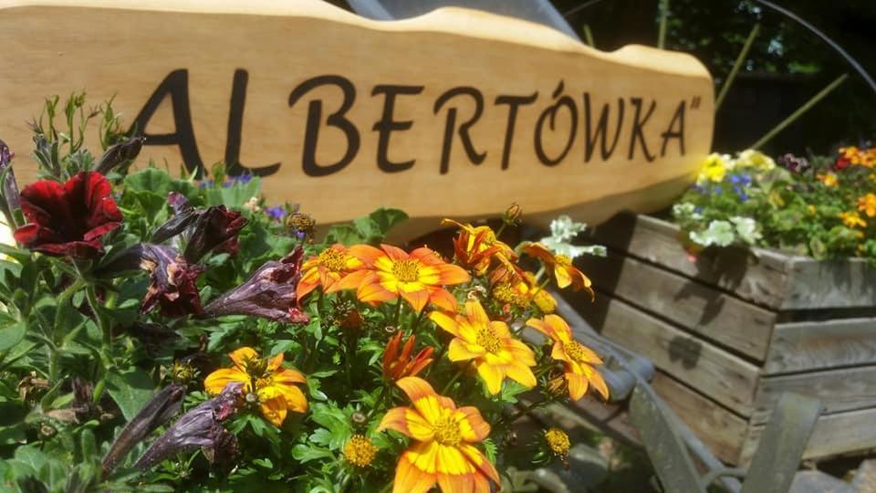 Albertowka Trzciel Exteriér fotografie